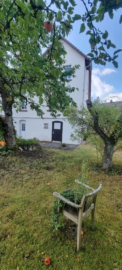 Ferienhaus Schuldienersch ビーデンコプフ エクステリア 写真